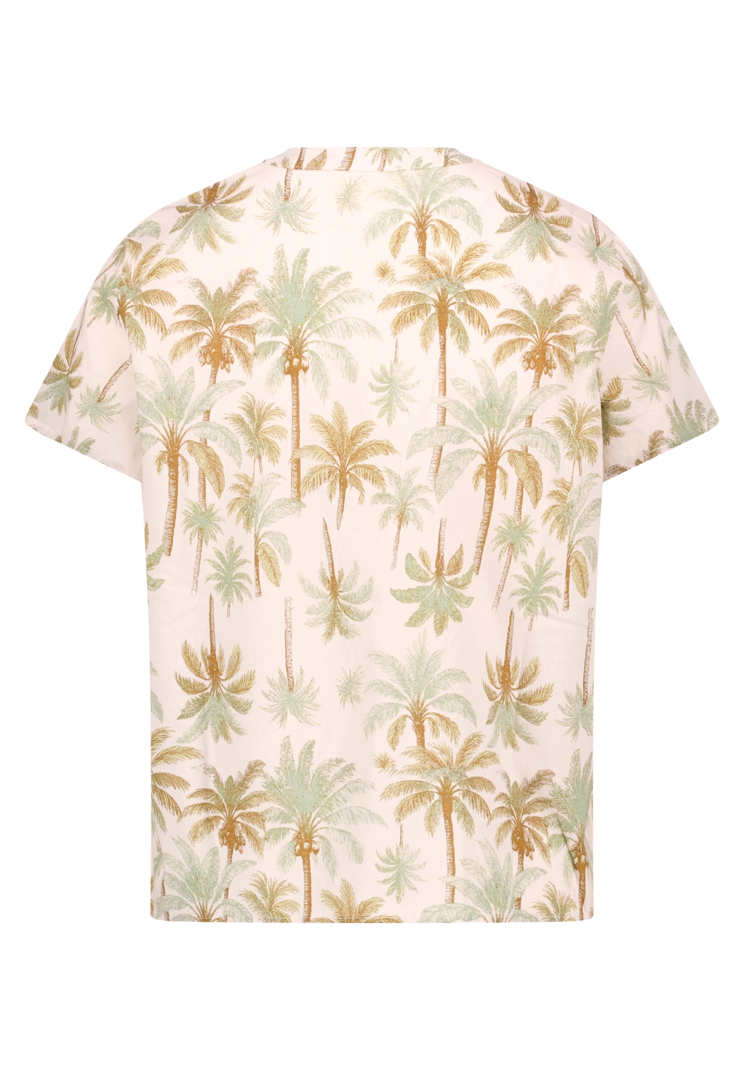 Blusenshirt