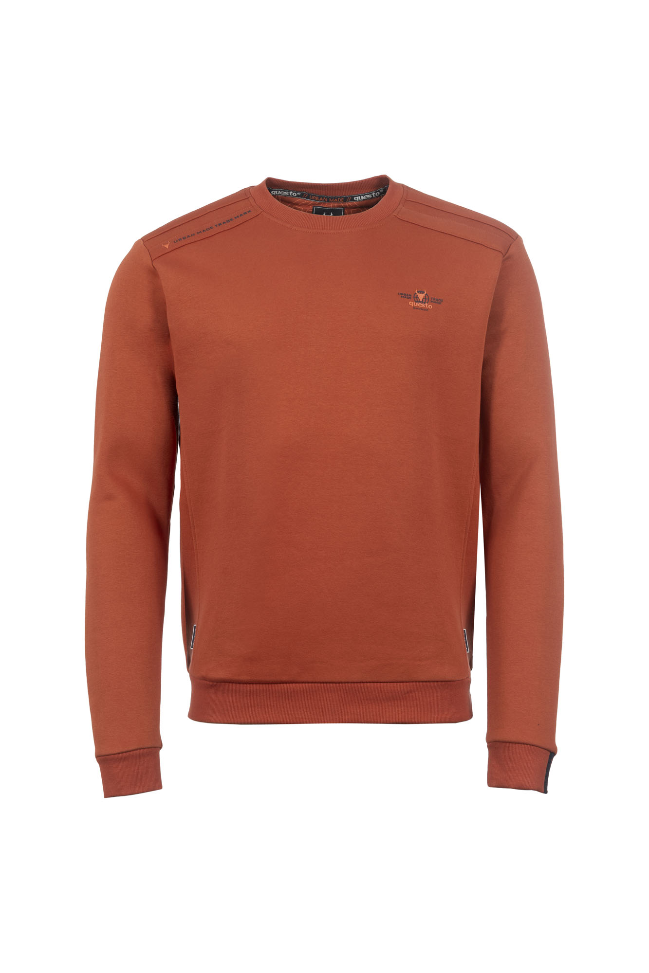Sweatshirt 1/1