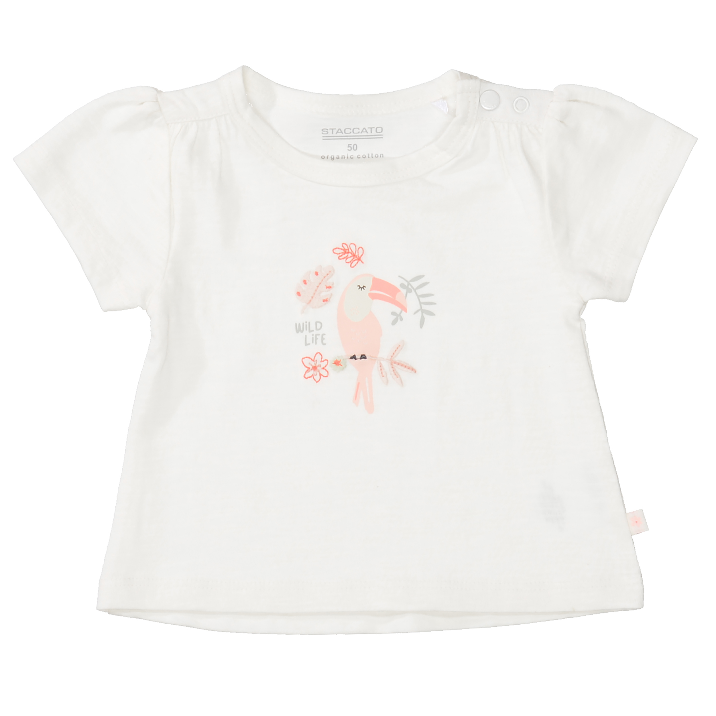 Md.-T-Shirt