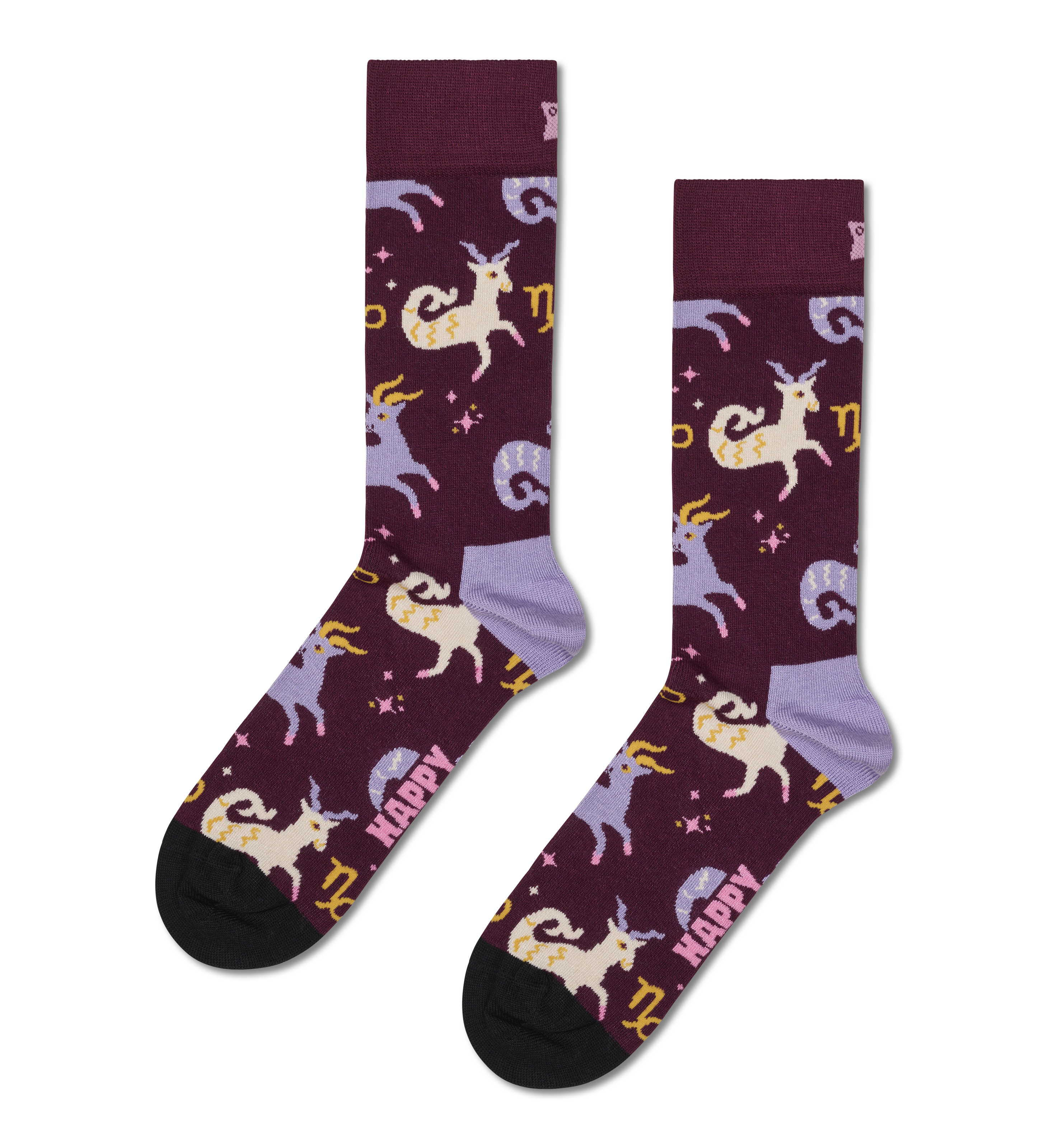 Capricorn Sock